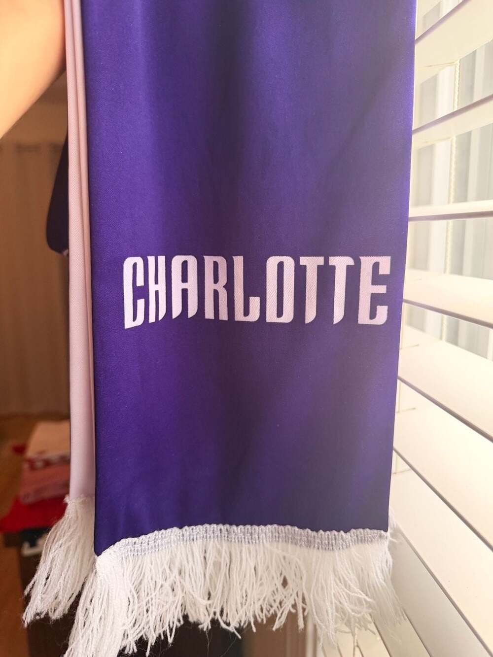 Charlotte Hornets Buzz City NBA Fan Scarf